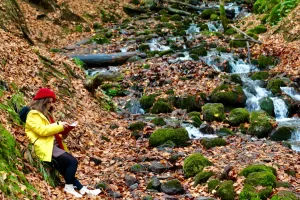BOLU (AA) – Bolu Yedigöller Milli Parkı'nı ziyaret edenler, sonbahar