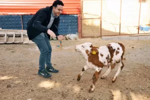 YOZGAT (AA) – Yozgat'ın Akdağmadeni ilçesinde, doğum sırasında çenesi kırılan