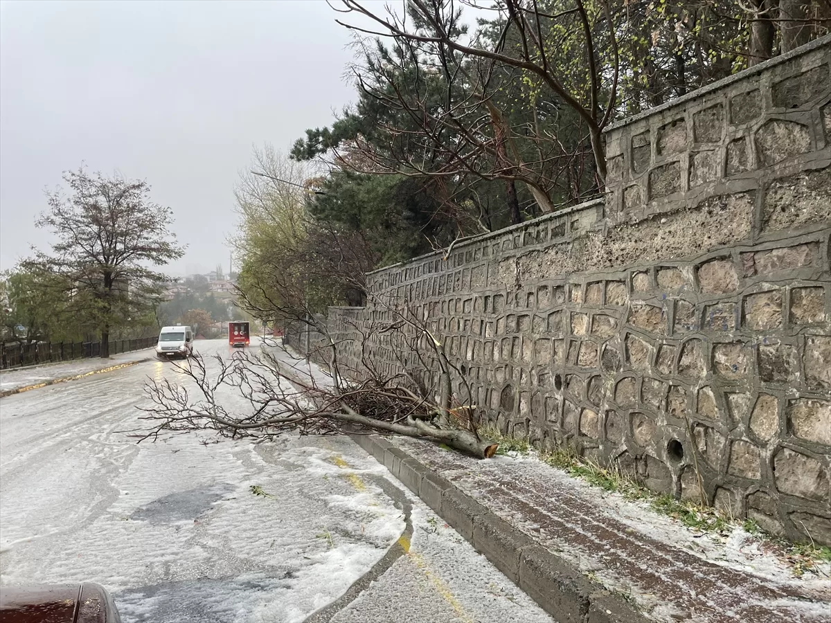 YOZGAT (AA) – Yozgat'ta kuvvetli rüzgar nedeniyle uçan çatıdan kopan