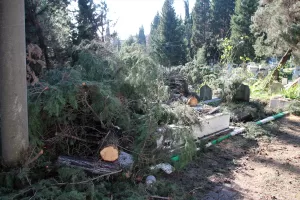 ZONGULDAK/DÜZCE (AA) – Zonguldak'ın Karadeniz Ereğli ilçesi ile Düzce'de fırtınada