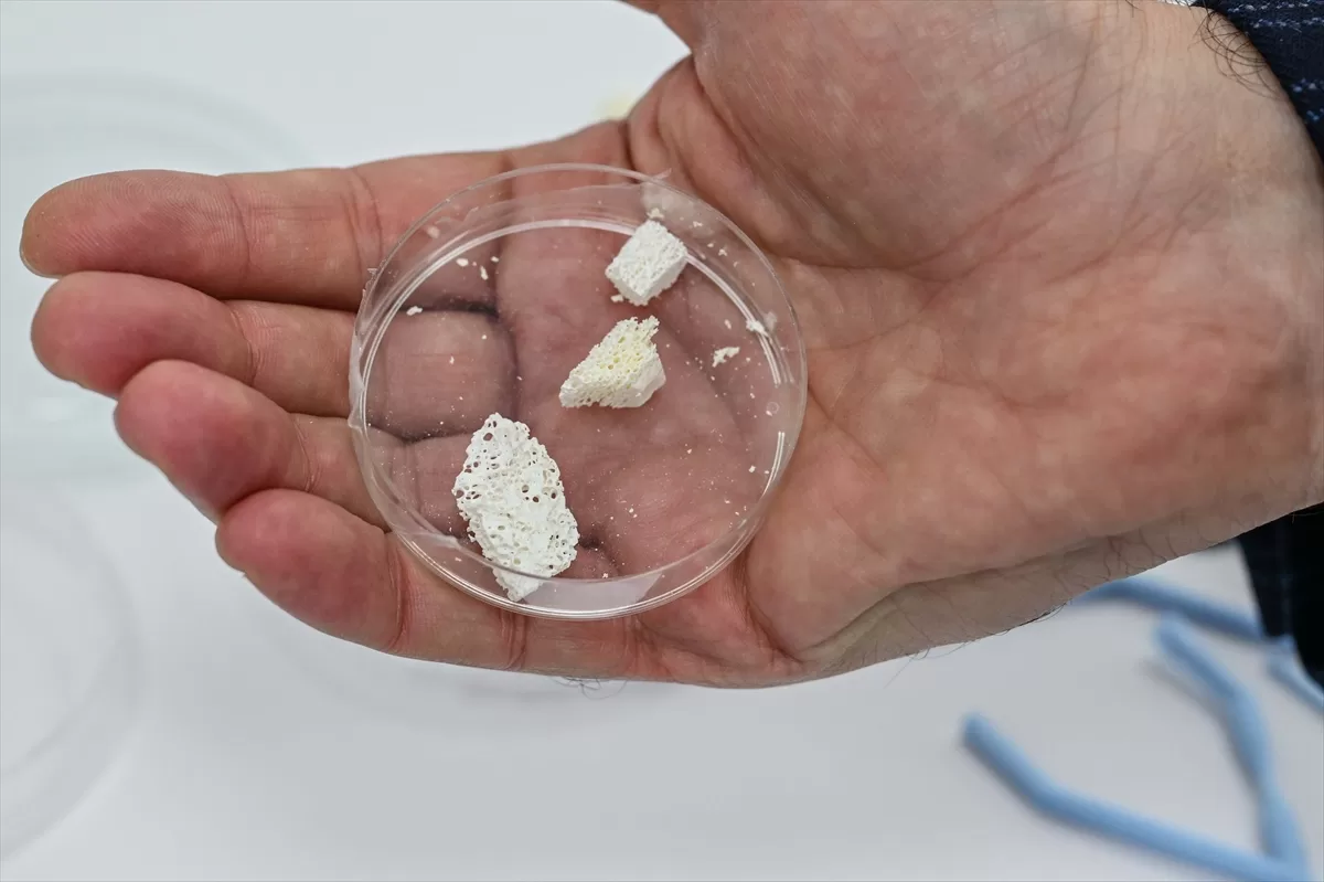 3 boyutlu biyoyazıcı ile yapay kulak zarı ve gırtlak yaması üretildi
