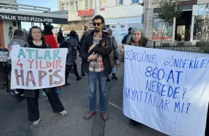 İSTANBUL (AA) – Adaların Atları Platformu üyeleri, Adalar'dan farklı bölgelerdeki