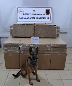 ADANA (AA) – Adana'nın Pozantı ilçesinde yolcu otobüsünde 300 bin