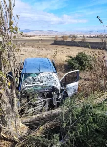 AFYONKARAHİSAR (AA) – Afyonkarahisar'da hafif ticari aracın yayaya çarparak şarampole