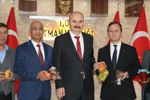 BATMAN (AA) – Batman'ın Kozluk domatesi, coğrafi işaretli ürün olarak