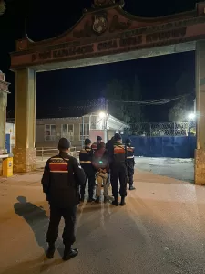 BURDUR (AA) – Burdur'un Altınyayla ve Tefenni ilçelerinde büyükbaş hayvan