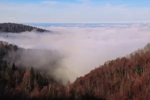 SAKARYA (AA) – Sakarya'nın Kocaali ve Hendek ilçeleri arasındaki 900