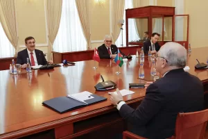 BAKÜ (AA) – Cumhurbaşkanı Yardımcısı Cevdet Yılmaz, Azerbaycan Başbakanı Ali