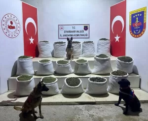 DİYARBAKIR (AA) – Diyarbakır'ın Lice ilçesinde terör örgütüne yönelik operasyonda,