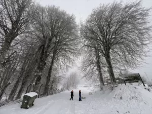 KÜTAHYA (AA) – Kütahya'nın Domaniç ilçesinde, Domaniç Dağı'nda gece başlayan