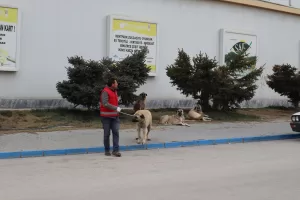 KAHRAMANMARAŞ (AA) – "Asrın felaketi" olarak nitelenen 6 Şubat depremlerinde,