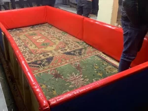 ORDU (AA) – Ordu'nun Perşembe ilçesindeki bir hayvanları koruma derneği