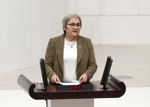 TBMM (AA) – CHP Tekirdağ Milletvekili Faik Öztrak, Türkiye'nin büyük