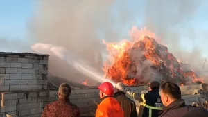 IĞDIR (AA) – Iğdır’da itfaiye ekipleri, yanan ahırdan 200 küçükbaş