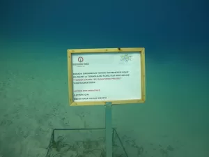 HATAY (AA) – İskenderun Teknik Üniversitesi (İSTE) Deniz Bilimleri ve