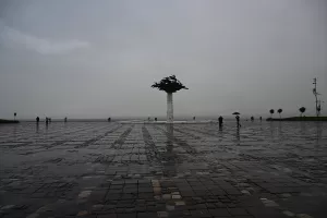 - Ulaşımda aksamaların yaşandığı kentte vapur seferleri iptal edildi 