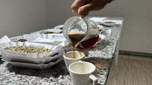YERGACEFFEE (AA) – HALİS AKYILDIZ – Doğu Afrika ülkesi Etiyopya'da