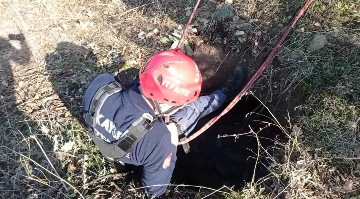 Kayseri'de boş su kuyusuna düşen danayı itfaiye kurtardı