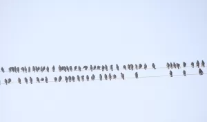 KIRKLARELİ (AA) – Kırklareli'nde yoğun sis hayatı olumsuz etkiliyor. Sis