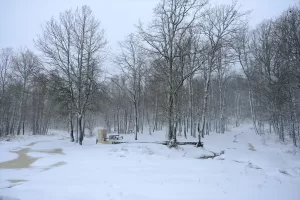 - Tipi şeklinde etkili olan kar yağışı nedeniyle 11 köy