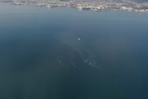 KOCAELİ (AA) – Kocaeli'de tersanede batan yüzer havuzdaki 24 kişi