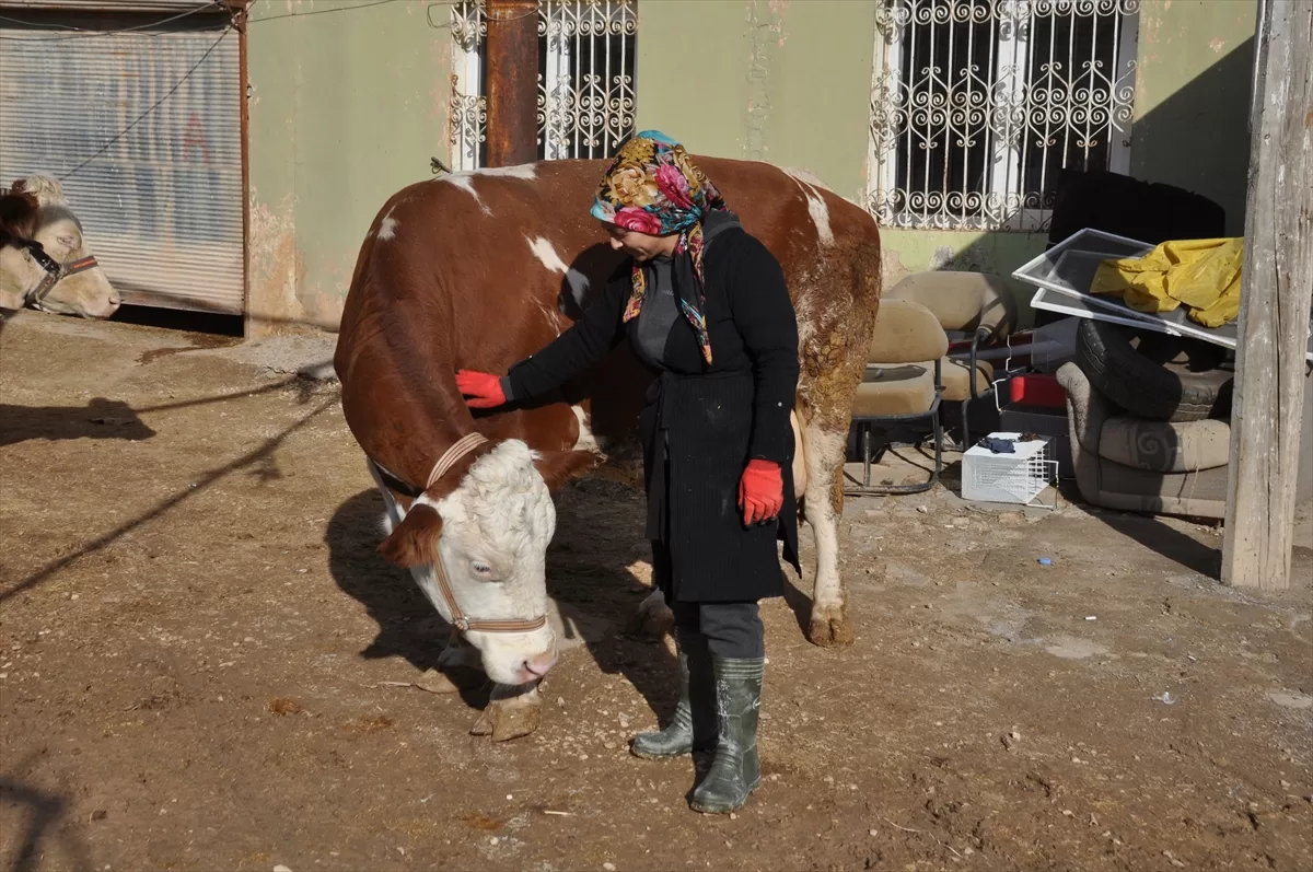 Mardinli ev kadını Çiftçi Destek Kredisi ile besici oldu