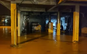 SAKARYA (AA) – Sakarya'nın Karadeniz'e kıyısı olan Karasu ve Kocaali