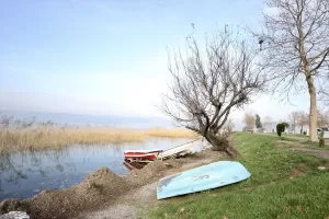 SAKARYA (AA) – Sakarya'da etkili olan yağışların ardından Sapanca Gölü'ndeki
