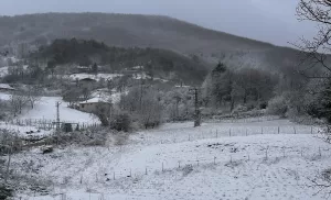 SİNOP (AA) – Sinop'un Gerze, Ayancık, Boyabat ve Saraydüzü ilçelerinde