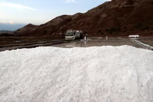 SİVAS (AA) – Sivas'ın Zara ilçesine bağlı Tuzlagözü köyünde üretilen