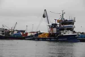 TEKİRDAĞ (AA) – Marmara Denizi'nde etkili olan poyraz, Tekirdağ'da deniz