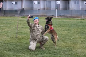 BİNGÖL (AA) – RIDVAN KORKULUTAŞ – Uyuşturucu arama köpeği "Meke",