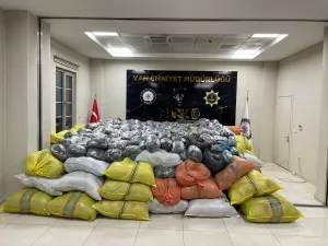 VAN (AA) – Van'ın Çaldıran ilçesinde 4 bin 600 kilogram