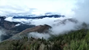 KASTAMONU (AA) – Kastamonu'da 1450 rakımlı Yaralıgöz Geçidi'nde sis etkili