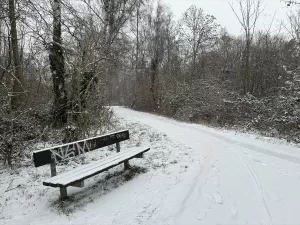 KÖLN (AA) – Almanya'nın orta, batı ve güneybatısında etkili olan