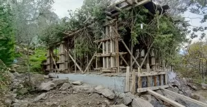 MUĞLA (AA) – Muğla'nın Bodrum ilçesinde ağaç dallarıyla kapatılıp gizlenmeye