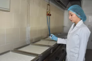 AFYONKARAHİSAR (AA) – CANAN TÜKELAY – Afyonkarahisar'ın coğrafi işaretli kaymağının