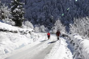 TRABZON (AA) – Trabzon'da bir grup doğasever, kar altında kalan