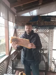 DÜZCE (AA) – Düzce'nin Yığılca ilçesinde bir evin balkonunda arıların