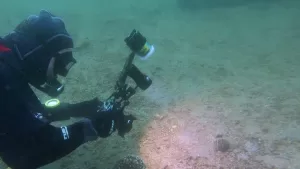 BALIKESİR (AA) – Marmara Denizi'nin güneyindeki Erdek Körfezi'nde dalış yapan