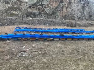 ERZURUM (AA) – İLHAMİ ERKILIÇ – Zengin bitki örtüsüne sahip