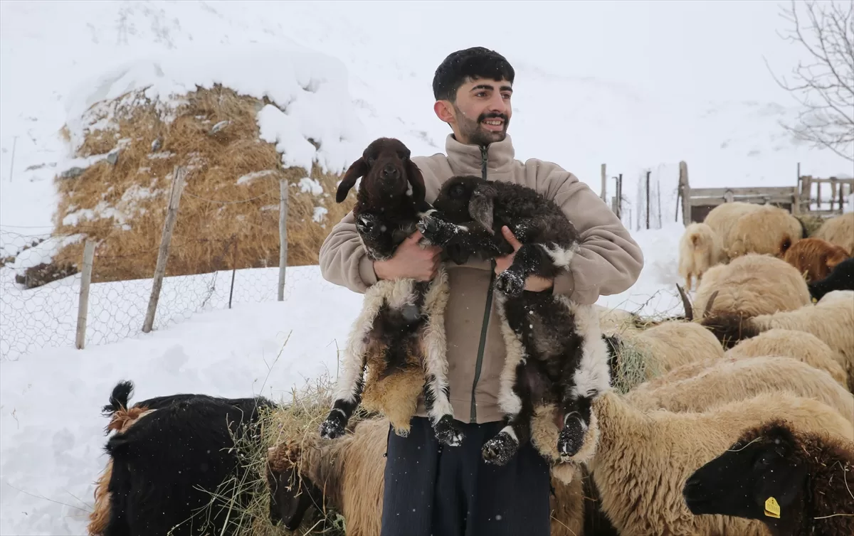 Hakkari'de etkili olan kar, hayvanlarını köylere indiren besicilerin işini zorlaştırdı