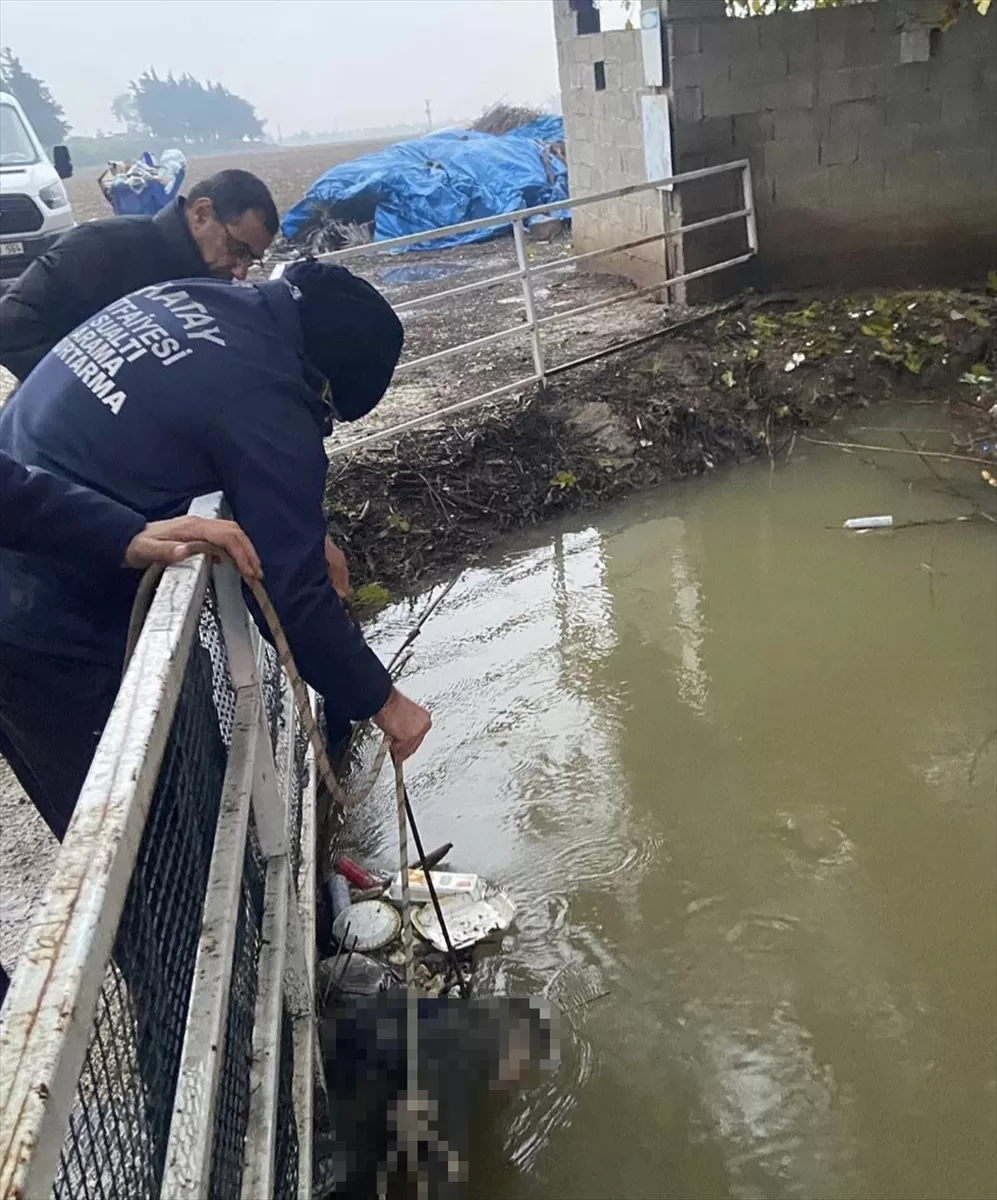 Hatay'da sulama kanalında erkek cesedi bulundu