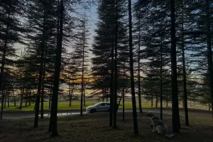 ELAZIĞ (AA) – Elazığ'ın Sivrice ilçesindeki Hazar Gölü'nde gün batımı