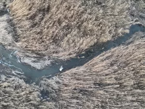 İZMİR (AA) – Doğa Koruma ve Milli Parklar 4. Bölge