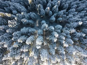 KASTAMONU (AA) – Kar yağışının ardından beyaza bürünen Küre Dağları