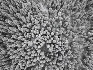 KASTAMONU (AA) – Kastamonu'da yüksek rakımlı noktalarda etkili olan kar