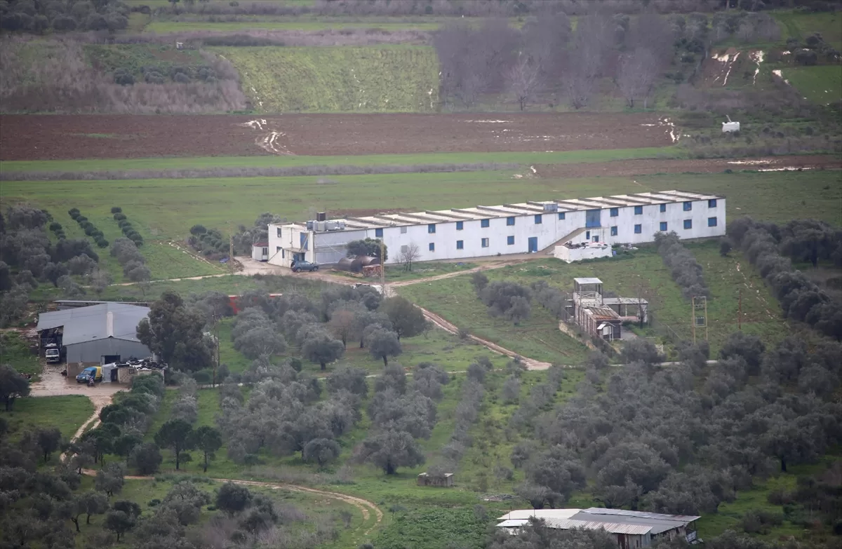 Lübnan'ın güneyindeki çiftçiler, İsrail ordusu ile Hizbullah'ın çatışmalarının uzamasından endişe duyuyor