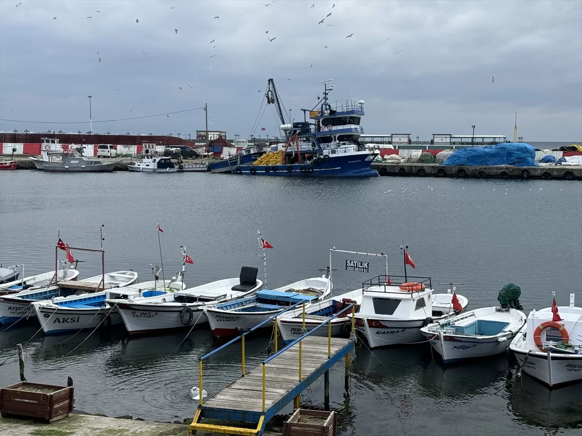 Marmara'da umduğunu bulamayan Tekirdağlı balıkçılar Karadeniz'e ağ atıyor