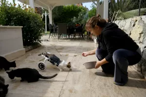 MUĞLA (AA) – ALİ RIZA AKKIR – Muğla'nın Fethiye ilçesinde,